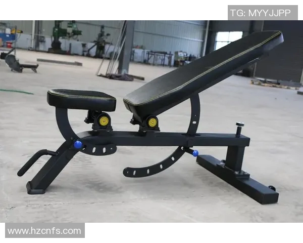 家用哑铃凳的选择与使用技巧助你轻松打造完美家庭健身空间