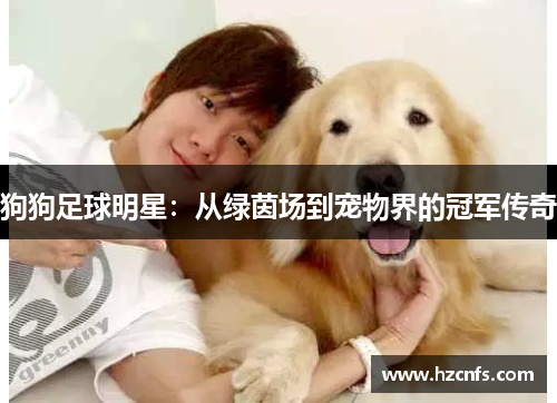 狗狗足球明星：从绿茵场到宠物界的冠军传奇
