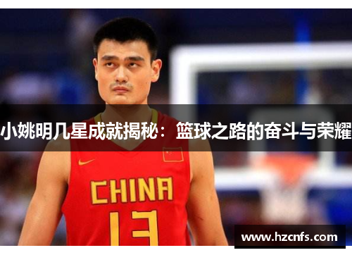 小姚明几星成就揭秘：篮球之路的奋斗与荣耀