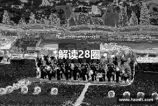 解读28圈